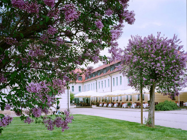 Widok zewnętrzny Hotelu Pałacowego Pillnitz z kwiatami bzu na pierwszym planie