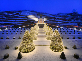 Winterlicher Blick auf Belvedere Schloss Wackerbarth Schloesserland Sachsen
