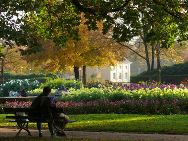 Dahliengarten im Großen Garten Dresden