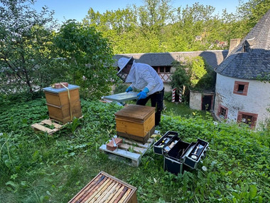 Imkerin prüft Bienenkästen