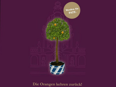 Die Orangen kehren zurück in den Zwinger