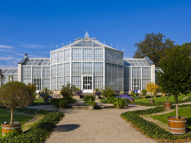 Pohled na Pavilón palem v Zámku a parku Pillnitz