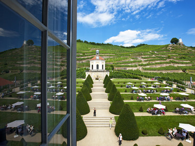 Blick auf Schloss Wackerbarth und seine Weinberge