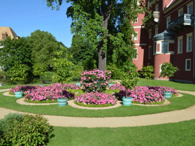 Letnia szata z pomarańczami w Parku Mużakowskim Zdjęcie: Pundacja „Fürst-Pückler-Park Bad Muskau“