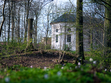 Frühlingserwachen im Klosterpark Altzella