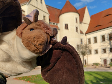 Fledermauspuppe vor Schloss Nossen