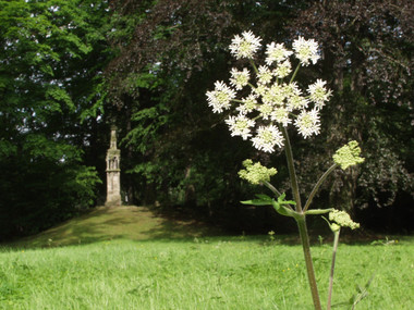 Betsäule im Klosterpark Altzella