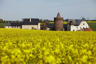 Burg im Rapsfeld Burg im Rapsfeld