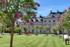 Schlosspark Pillnitz Fliederhof